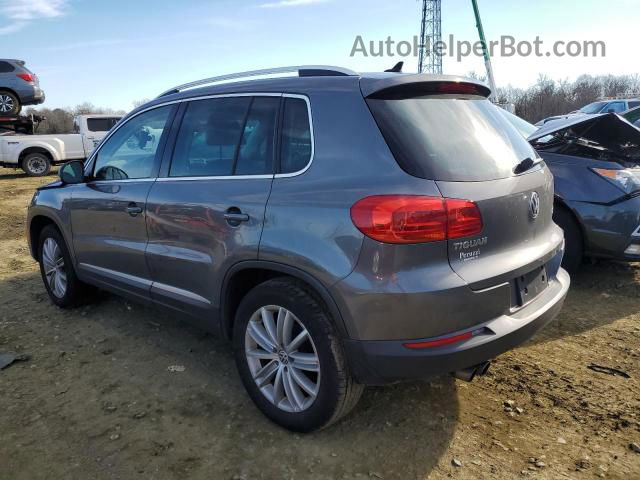 2013 Volkswagen Tiguan S Gray vin: WVGBV3AXXDW080283