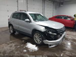 2013 Volkswagen Tiguan Se Серебряный vin: WVGBV3AXXDW610266