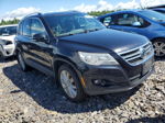 2010 Volkswagen Tiguan Se Черный vin: WVGBV7AX0AW516514