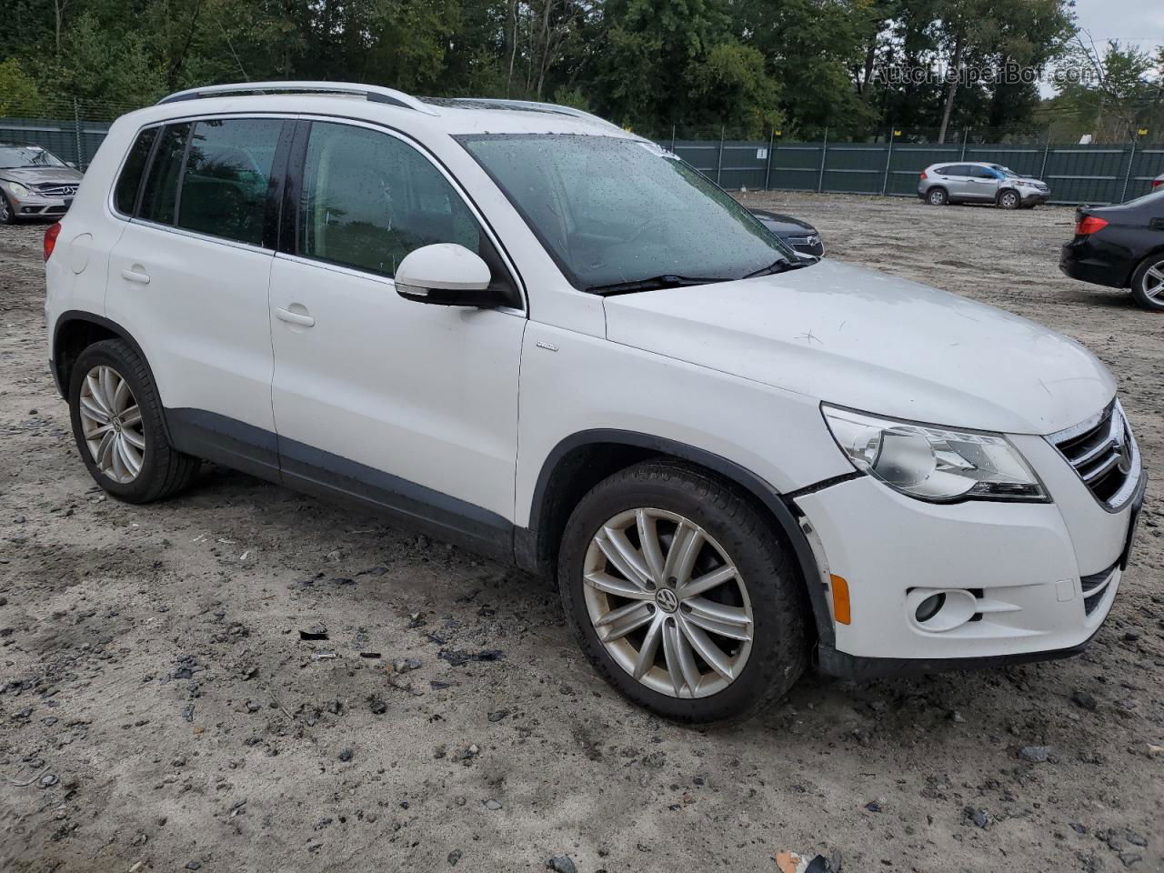 2010 Volkswagen Tiguan Se Белый vin: WVGBV7AX0AW526301