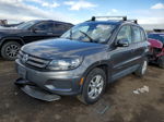 2016 Volkswagen Tiguan S Серый vin: WVGBV7AX0GW594557