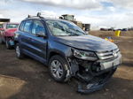 2016 Volkswagen Tiguan S Gray vin: WVGBV7AX0GW594557