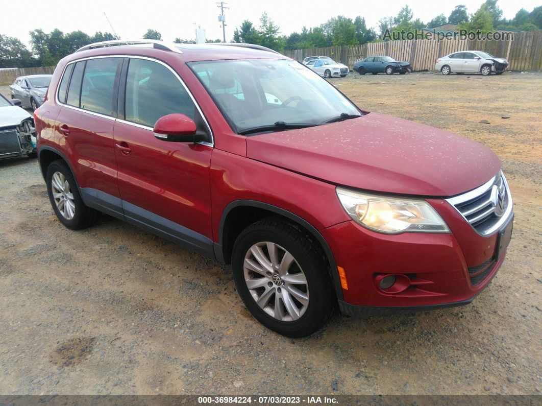 2010 Volkswagen Tiguan Se W/leather Red vin: WVGBV7AX1AW000677