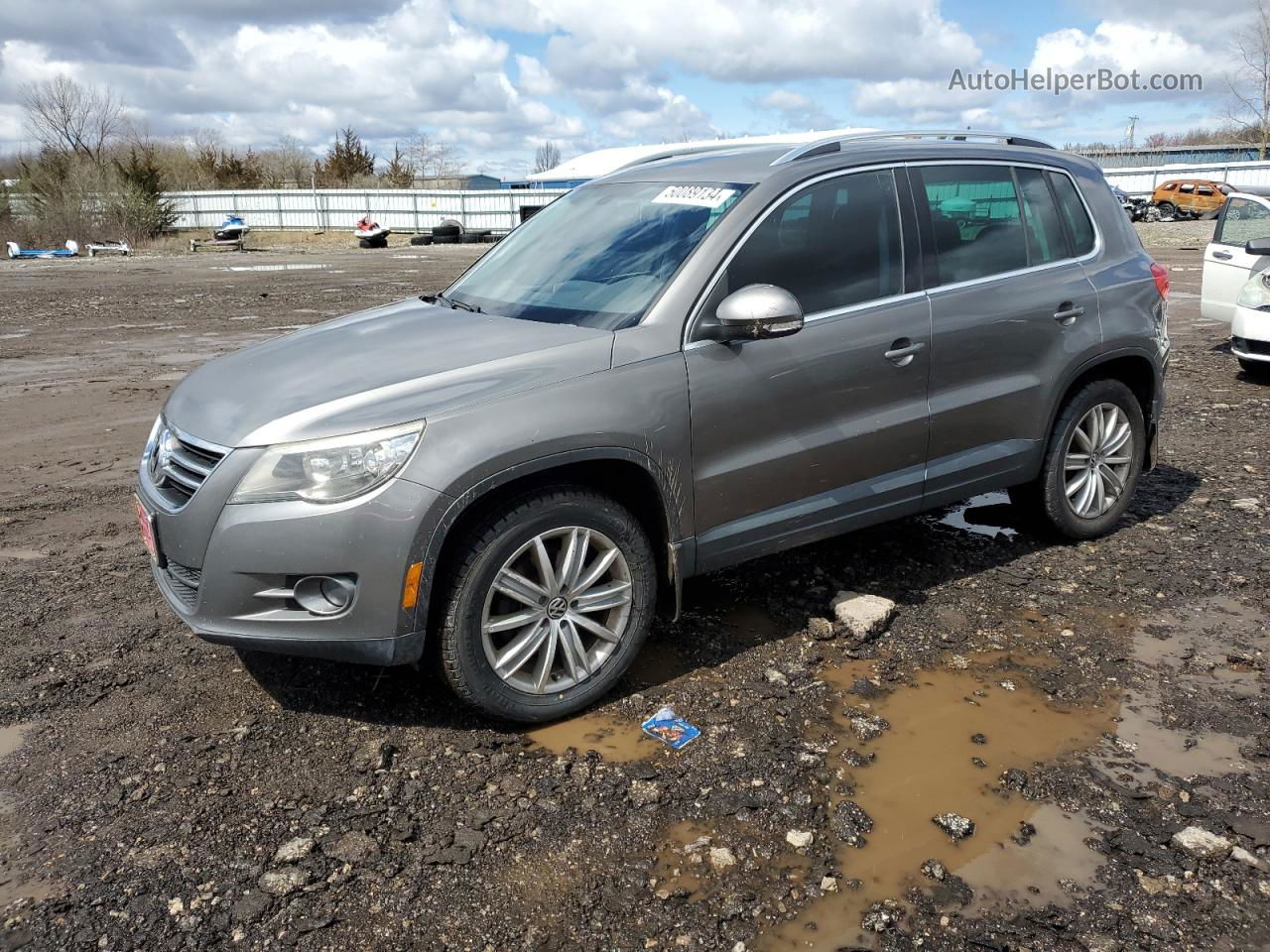 2010 Volkswagen Tiguan Se Gray vin: WVGBV7AX1AW001019