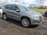 2010 Volkswagen Tiguan Se Gray vin: WVGBV7AX1AW001019