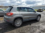 2010 Volkswagen Tiguan Se Gray vin: WVGBV7AX1AW001019