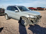 2010 Volkswagen Tiguan Se Серебряный vin: WVGBV7AX1AW515792