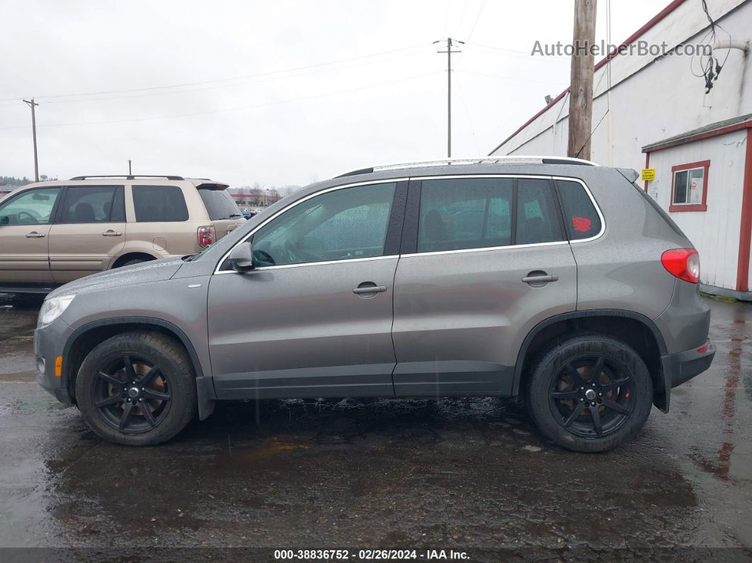 2010 Volkswagen Tiguan Wolfsburg Edition Gray vin: WVGBV7AX1AW526307