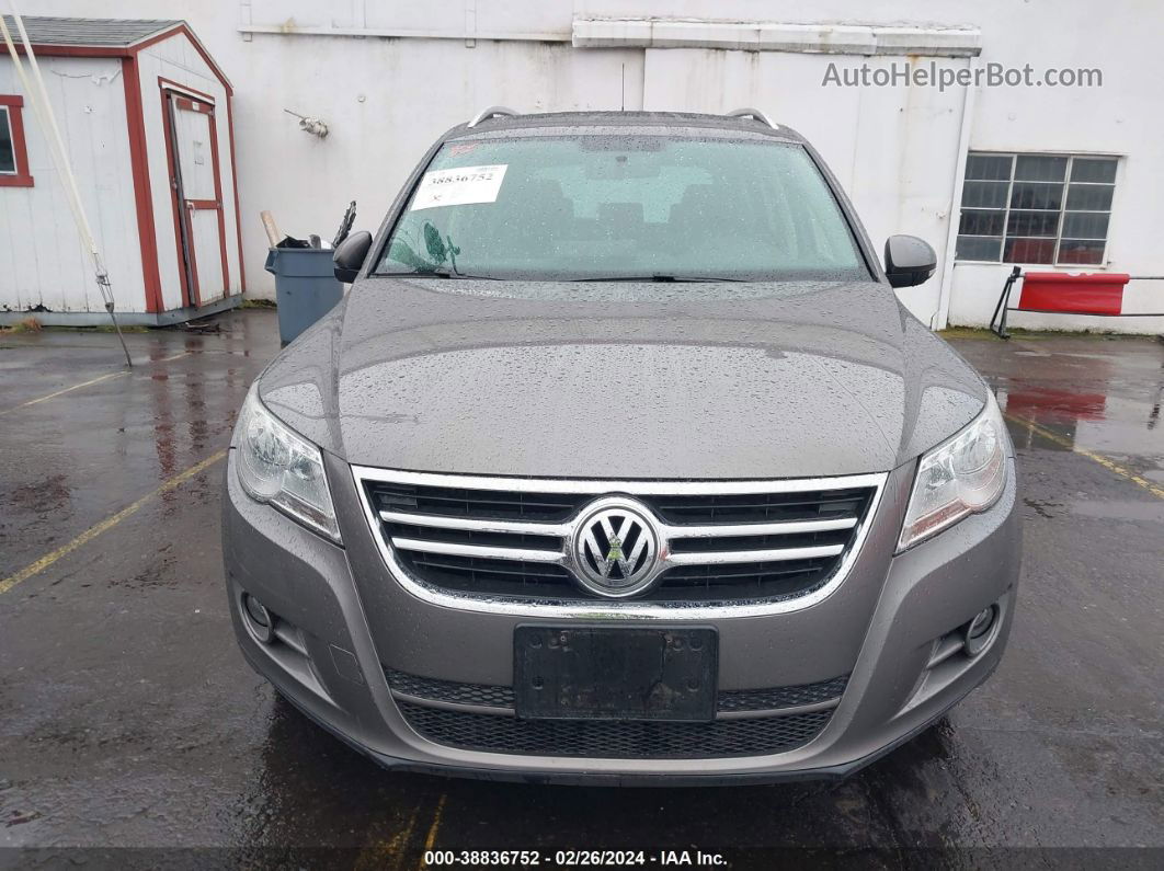 2010 Volkswagen Tiguan Wolfsburg Edition Gray vin: WVGBV7AX1AW526307