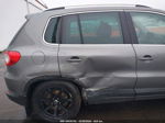 2010 Volkswagen Tiguan Wolfsburg Edition Gray vin: WVGBV7AX1AW526307