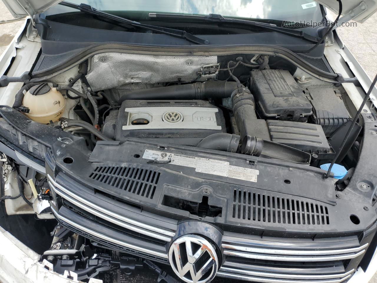 2013 Volkswagen Tiguan S Белый vin: WVGBV7AX1DW512072