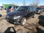 2016 Volkswagen Tiguan Se Purple vin: WVGBV7AX1GW534514