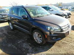 2016 Volkswagen Tiguan Se Purple vin: WVGBV7AX1GW534514