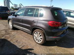 2016 Volkswagen Tiguan Se Purple vin: WVGBV7AX1GW534514