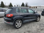 2010 Volkswagen Tiguan Se Black vin: WVGBV7AX2AW514554