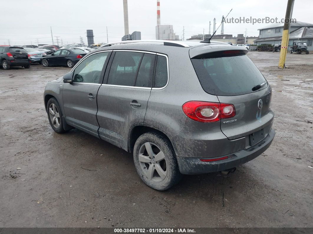 2010 Volkswagen Tiguan Wolfsburg Edition Gray vin: WVGBV7AX2AW515364