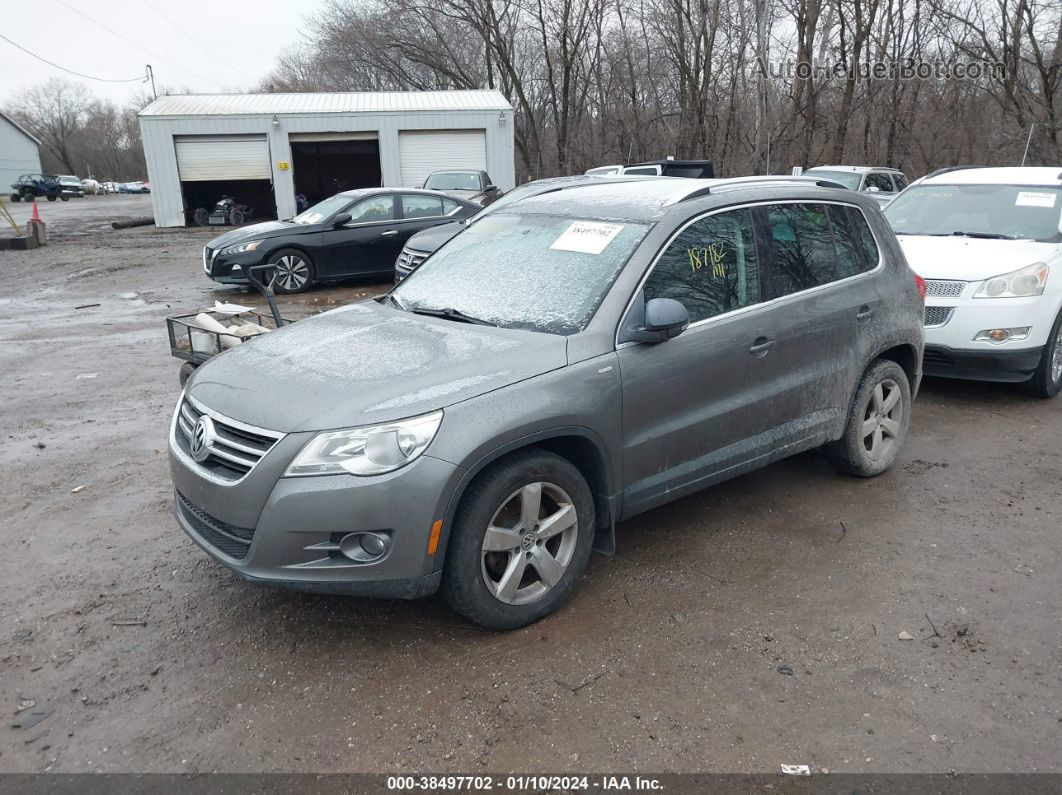 2010 Volkswagen Tiguan Wolfsburg Edition Gray vin: WVGBV7AX2AW515364