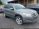 2010 Volkswagen Tiguan Wolfsburg Edition Gray vin: WVGBV7AX2AW528146