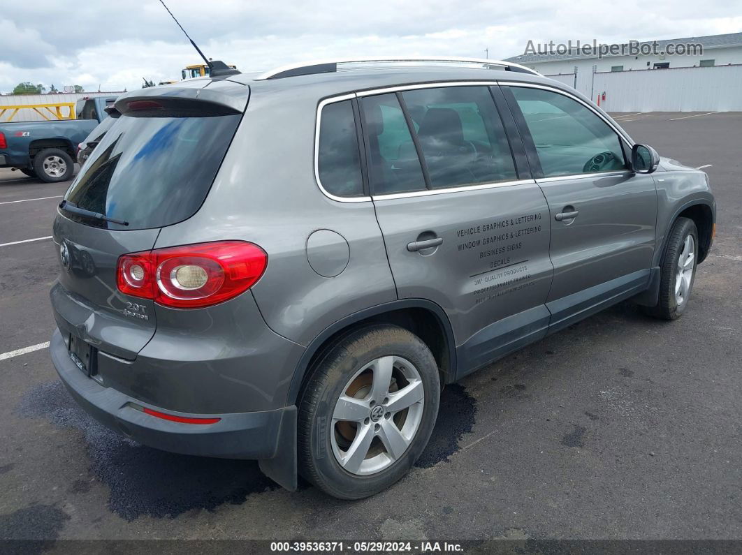 2010 Volkswagen Tiguan Wolfsburg Edition Gray vin: WVGBV7AX2AW528146