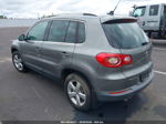 2010 Volkswagen Tiguan Wolfsburg Edition Gray vin: WVGBV7AX2AW528146