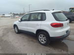 2017 Volkswagen Tiguan S Белый vin: WVGBV7AX2HW510112