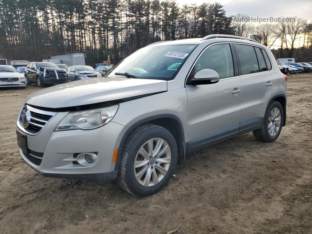 2010 Volkswagen Tiguan Se Silver vin: WVGBV7AX3AW000227