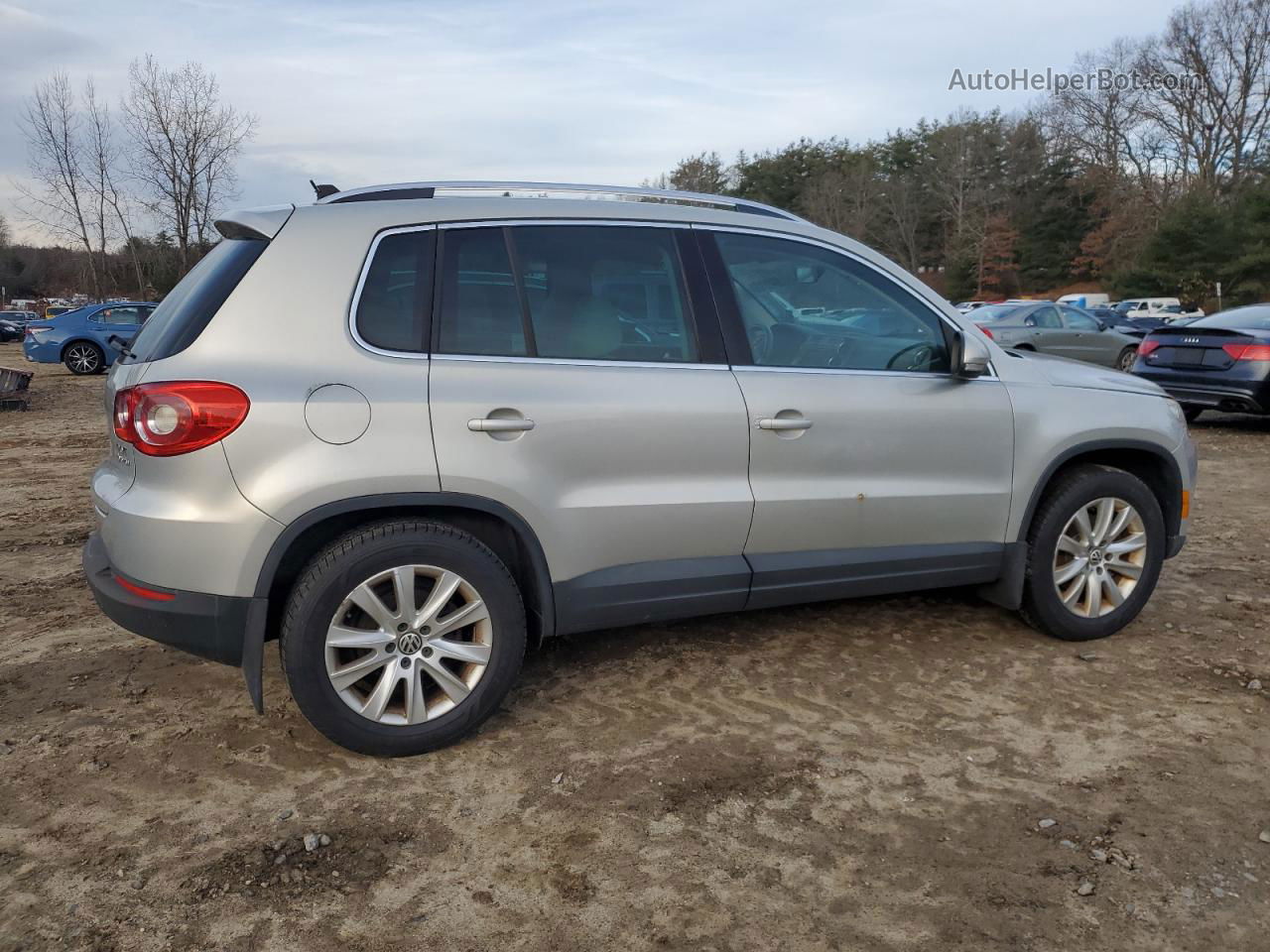 2010 Volkswagen Tiguan Se Silver vin: WVGBV7AX3AW000227