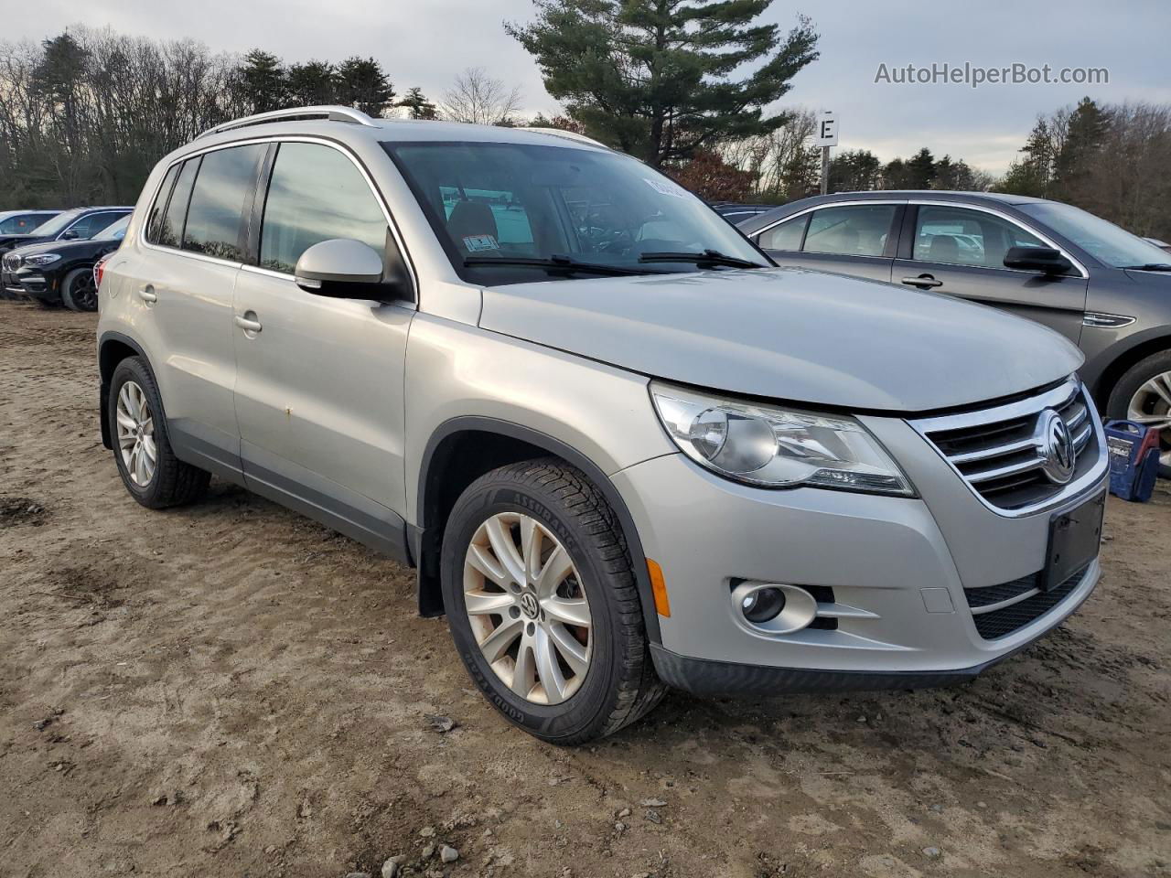 2010 Volkswagen Tiguan Se Silver vin: WVGBV7AX3AW000227