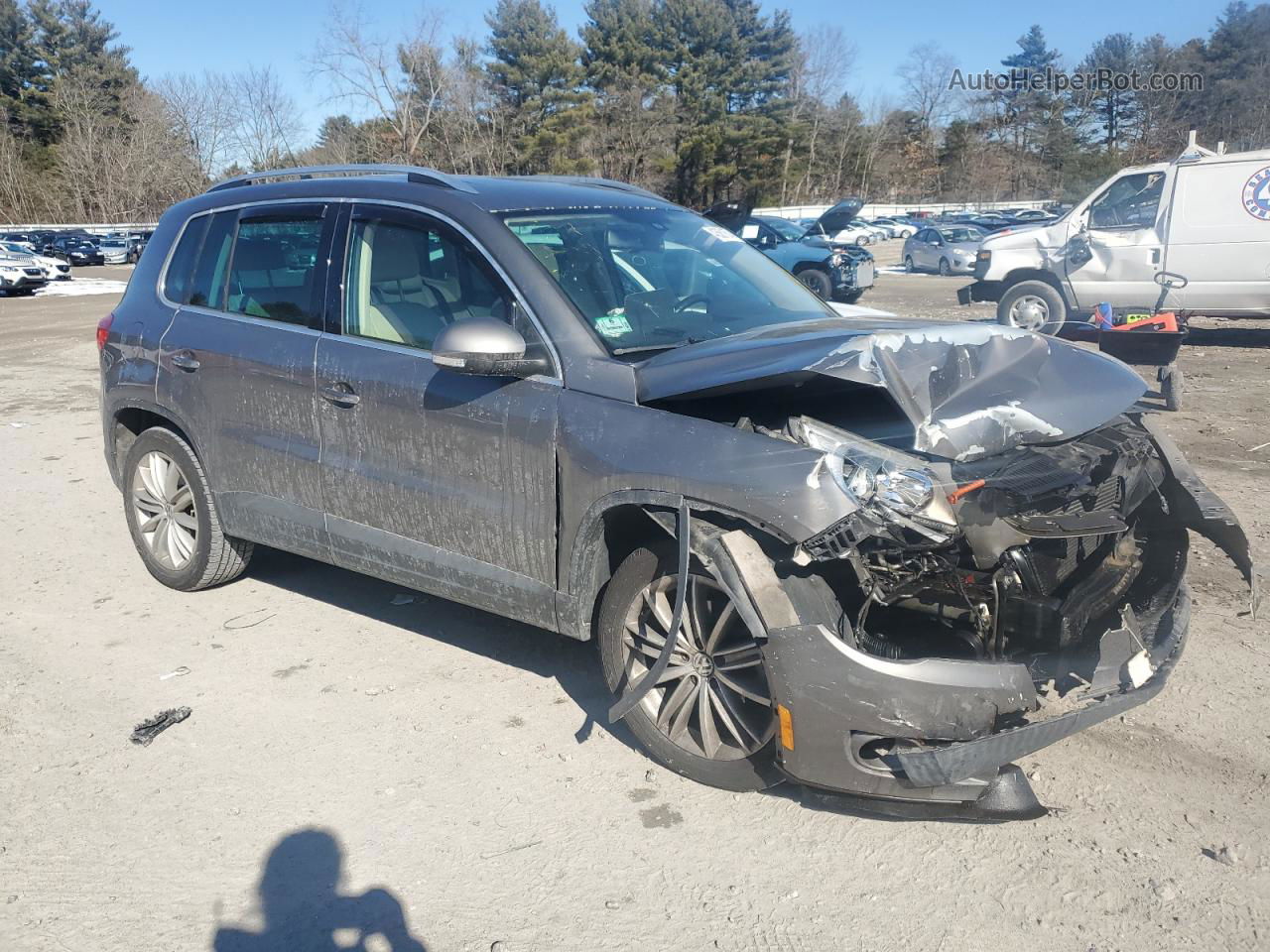 2010 Volkswagen Tiguan Se Gray vin: WVGBV7AX3AW511310