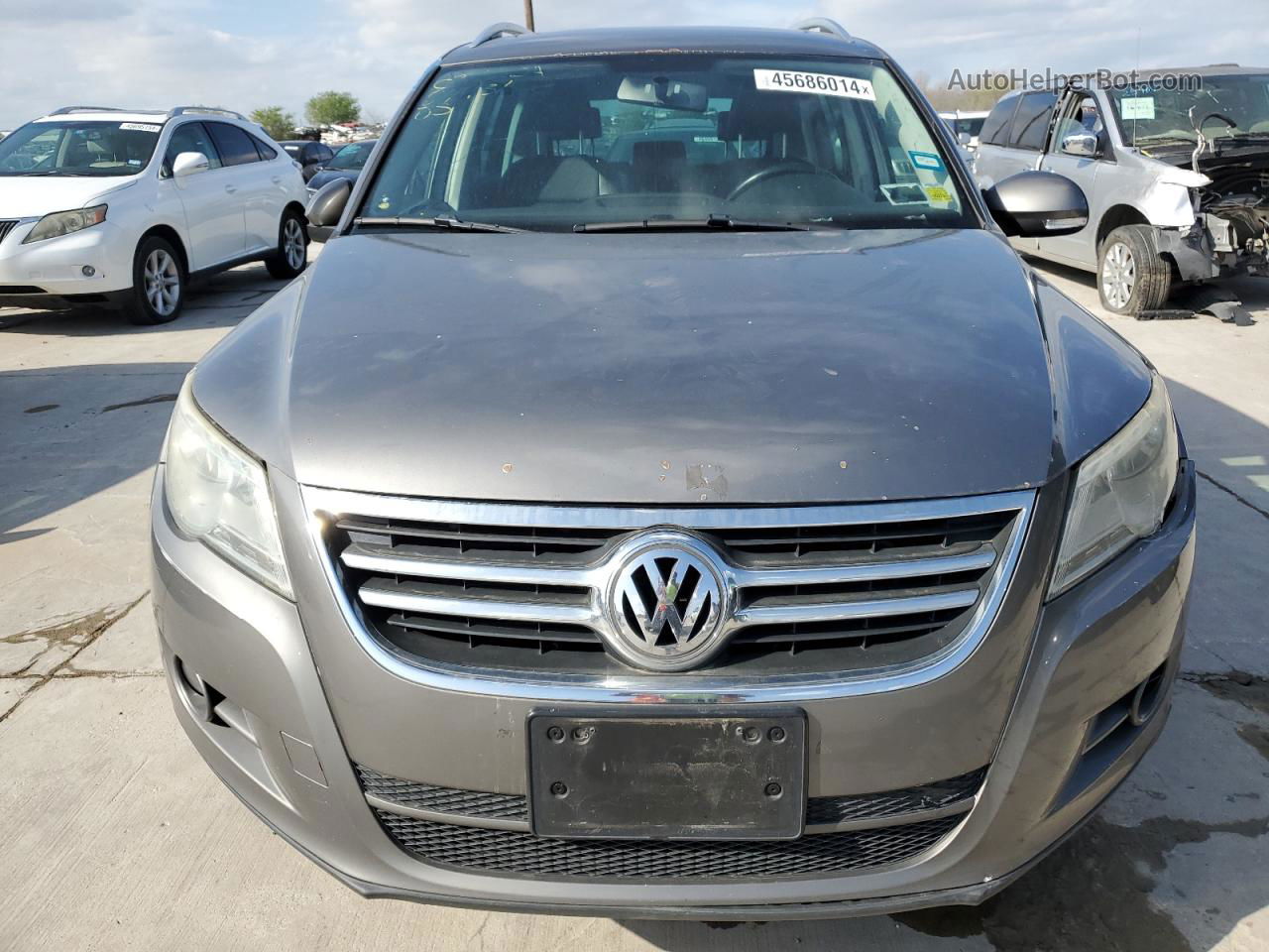 2010 Volkswagen Tiguan Se Gray vin: WVGBV7AX3AW513901