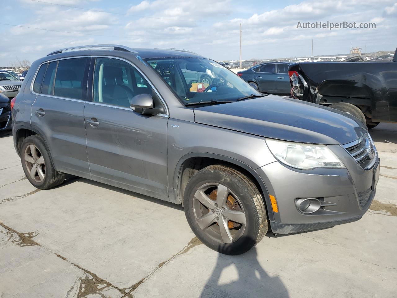 2010 Volkswagen Tiguan Se Gray vin: WVGBV7AX3AW513901