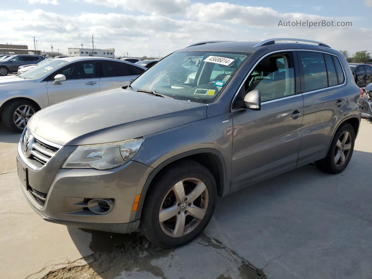 2010 Volkswagen Tiguan Se Gray vin: WVGBV7AX3AW513901