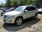 2010 Volkswagen Tiguan Se Silver vin: WVGBV7AX3AW523294