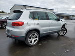 2013 Volkswagen Tiguan S Silver vin: WVGBV7AX3DW558227