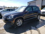 2016 Volkswagen Tiguan S Black vin: WVGBV7AX3GW534496