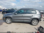 2016 Volkswagen Tiguan S Gray vin: WVGBV7AX3GW558443