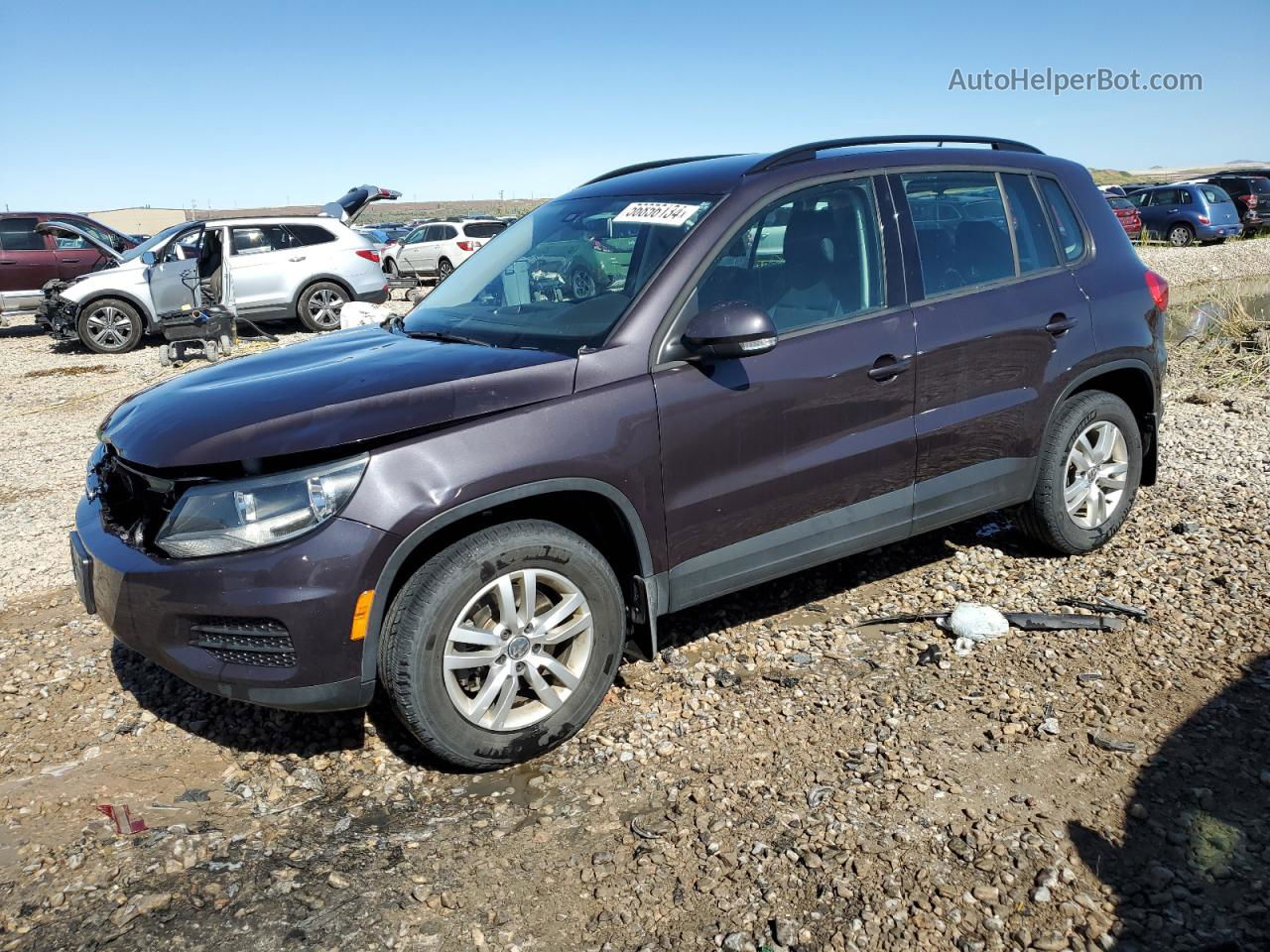 2016 Volkswagen Tiguan S Purple vin: WVGBV7AX3GW567532