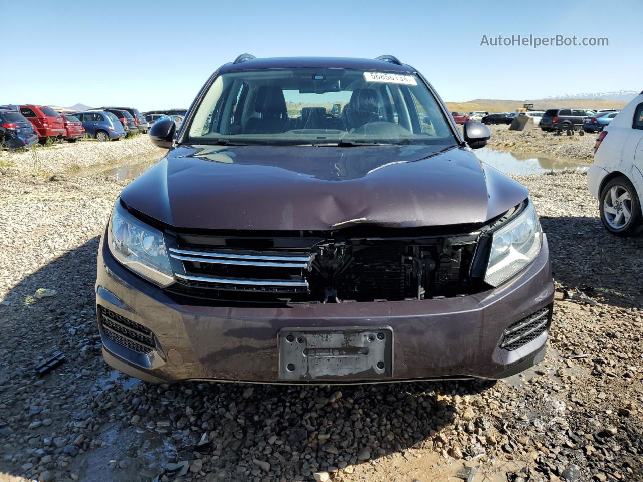 2016 Volkswagen Tiguan S Purple vin: WVGBV7AX3GW567532