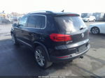 2016 Volkswagen Tiguan Sel Черный vin: WVGBV7AX3GW615109