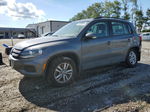 2017 Volkswagen Tiguan S Gray vin: WVGBV7AX3HK029647