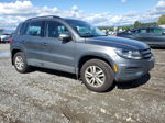 2017 Volkswagen Tiguan S Gray vin: WVGBV7AX3HK029647