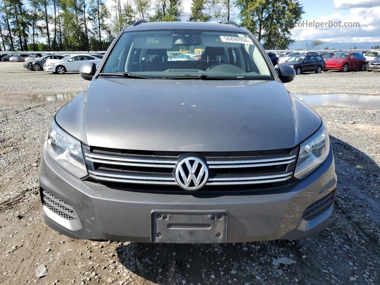 2017 Volkswagen Tiguan S Gray vin: WVGBV7AX3HK029647