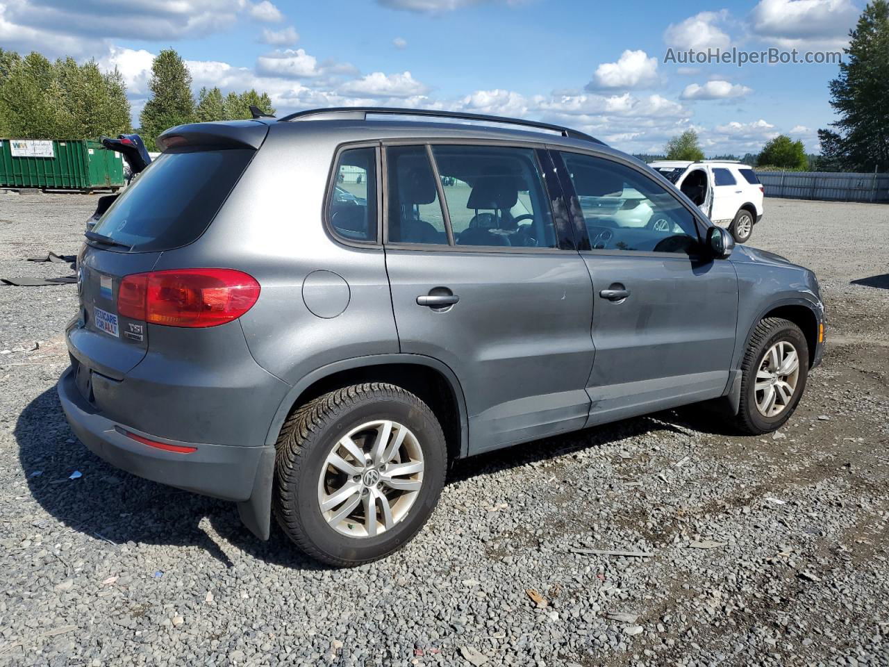 2017 Volkswagen Tiguan S Серый vin: WVGBV7AX3HK029647