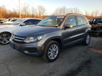 2018 Volkswagen Tiguan Limited  Gray vin: WVGBV7AX3JK003684