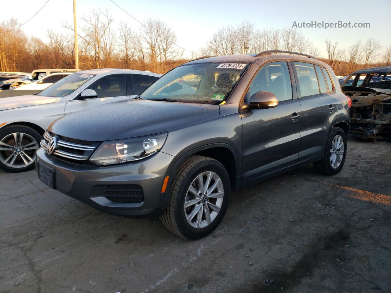 2018 Volkswagen Tiguan Limited  Gray vin: WVGBV7AX3JK003684