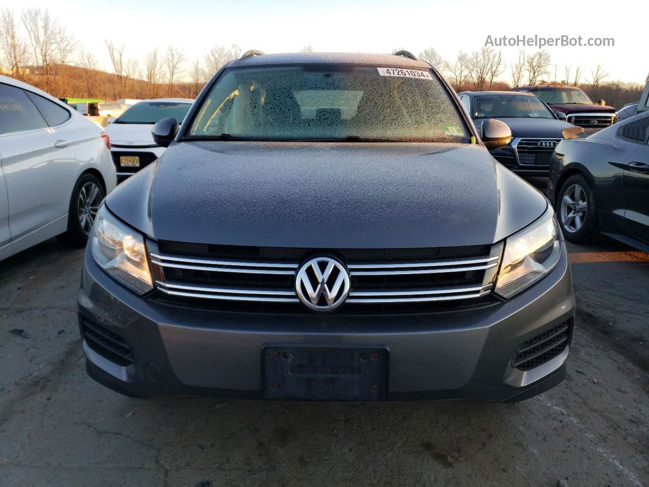 2018 Volkswagen Tiguan Limited  Gray vin: WVGBV7AX3JK003684