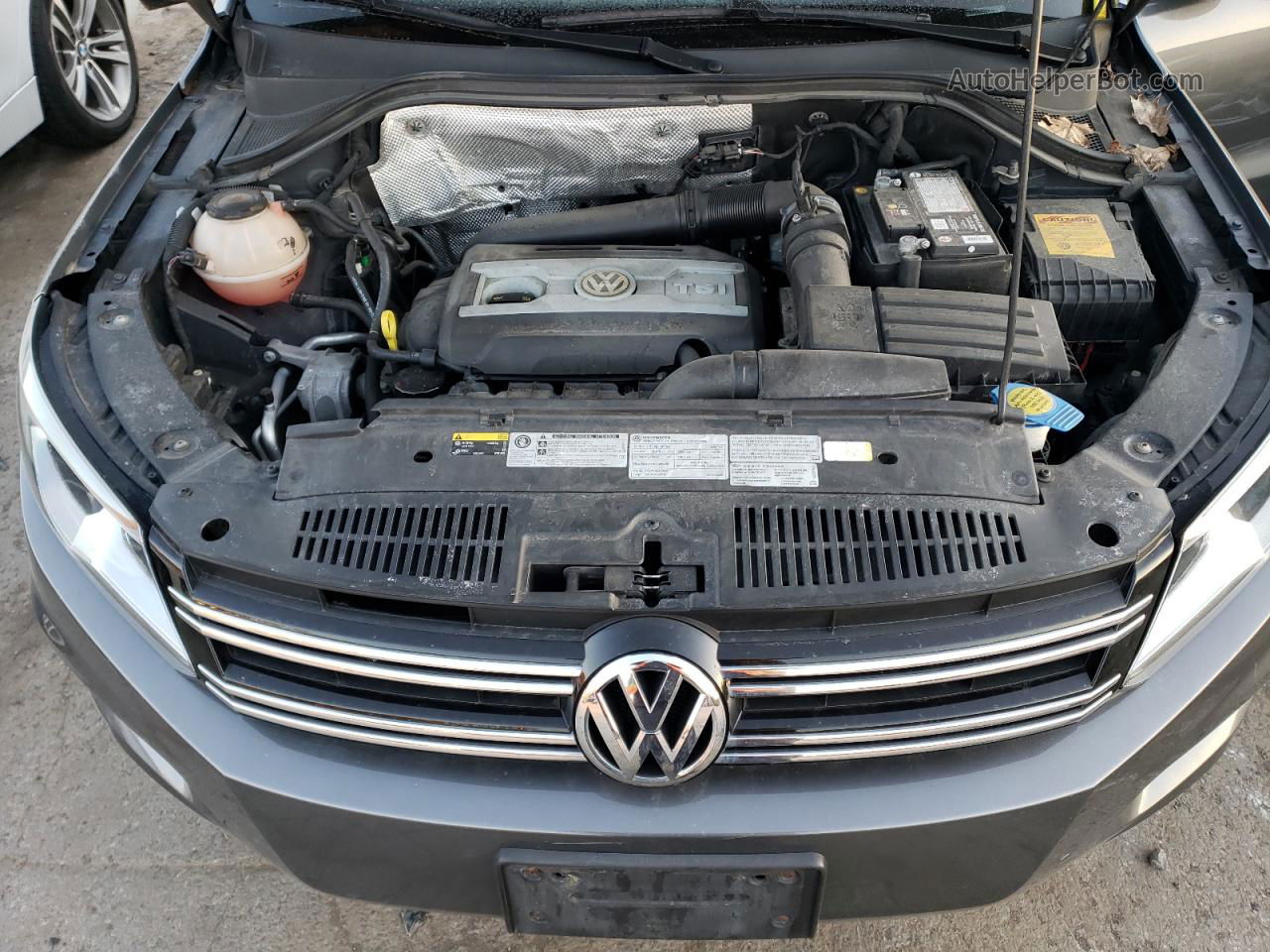 2018 Volkswagen Tiguan Limited  Gray vin: WVGBV7AX3JK003684