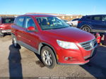 2010 Volkswagen Tiguan S Red vin: WVGBV7AX4AW003394