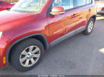 2010 Volkswagen Tiguan S Красный vin: WVGBV7AX4AW003394