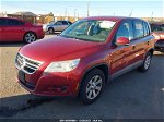 2010 Volkswagen Tiguan S Red vin: WVGBV7AX4AW003394